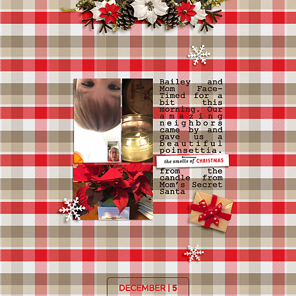 Dyd2019_05-copy