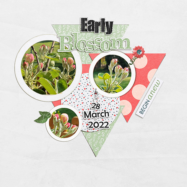 Early Blossom