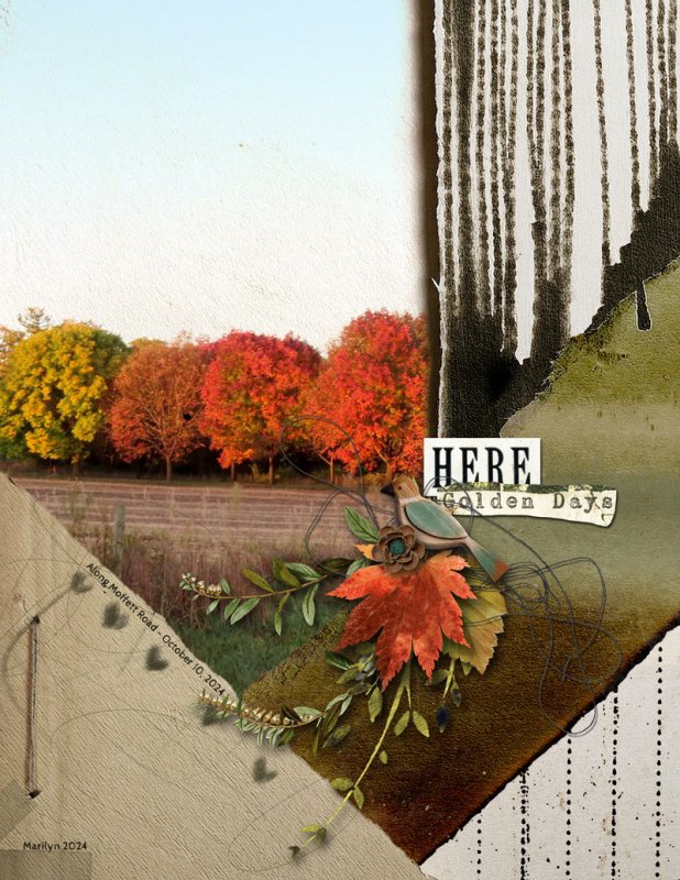 Echoes-of-Autumn