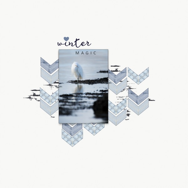 Egret