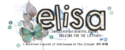 EHStudios