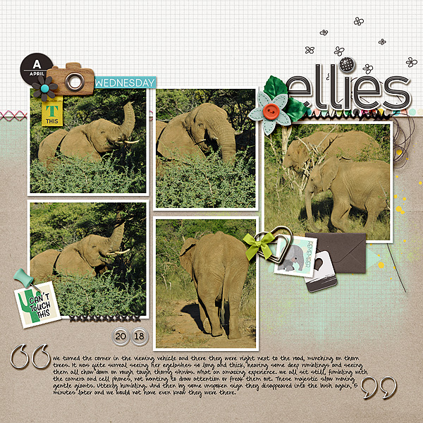 Ellies