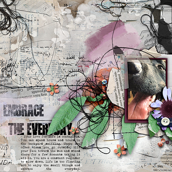 Embrace the Everyday