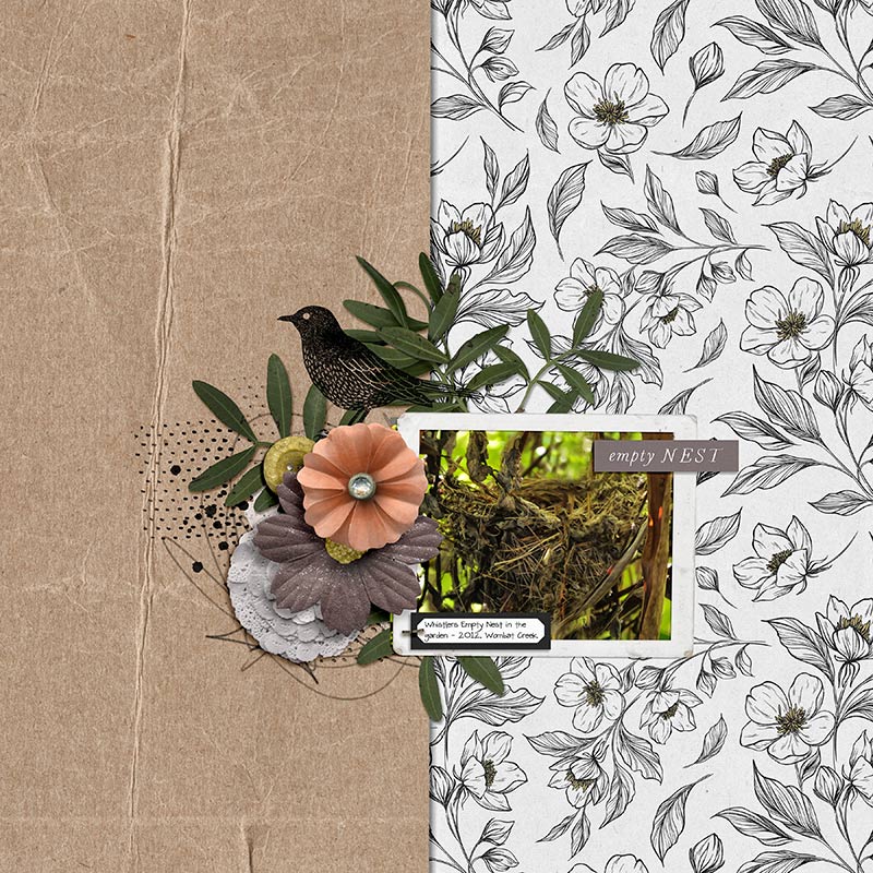 EMPTY NEST