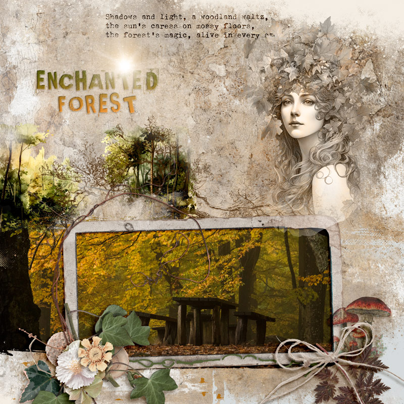 Enchanted Forest