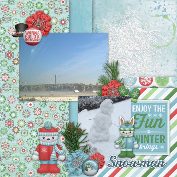 Enjoy The Winter