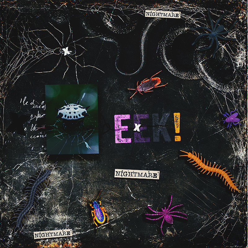 entomophobia