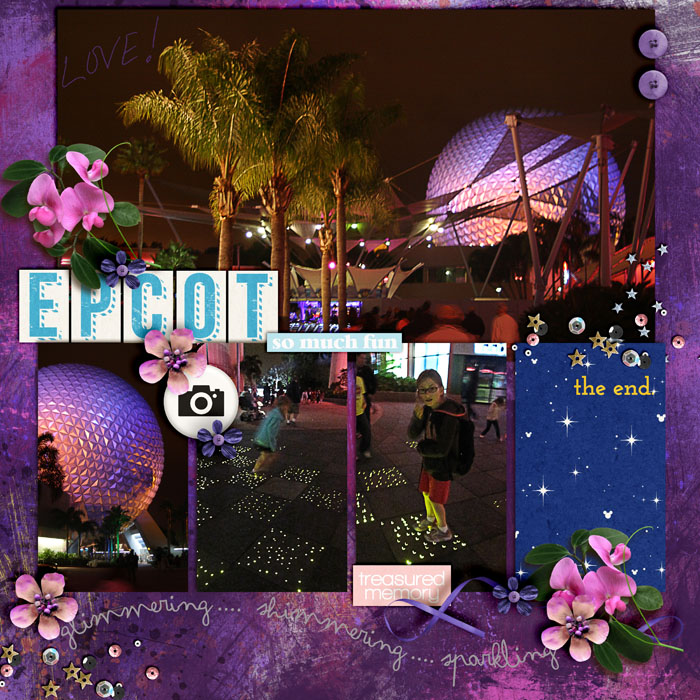 Epcot At Night