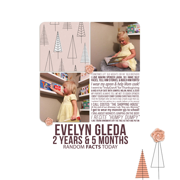 Evelyn 2 - 5M