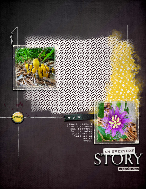 EverydayStory