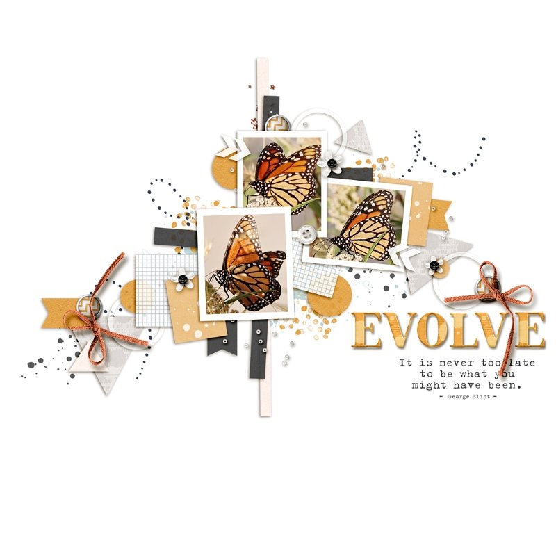 Evolve