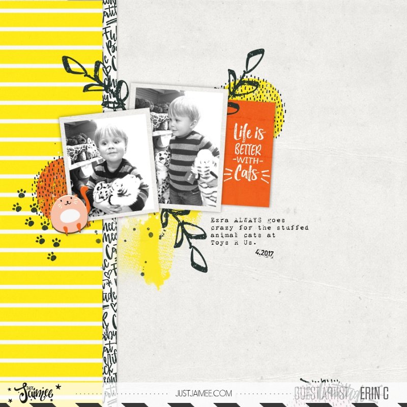 Ezra Loves Cats!