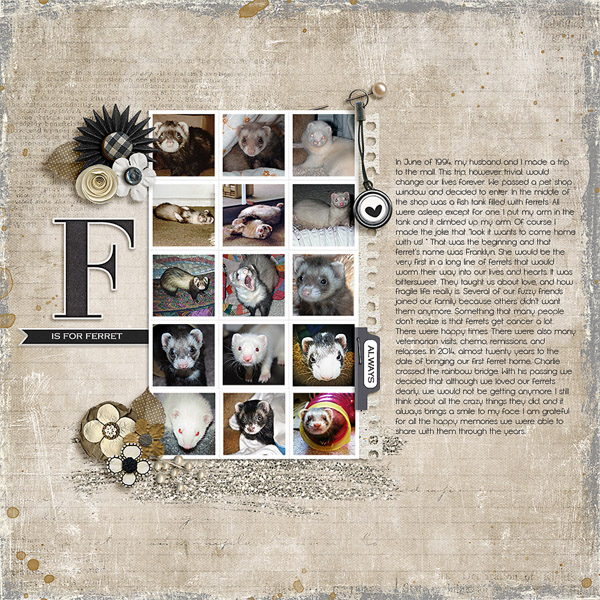 F Is For Ferrets