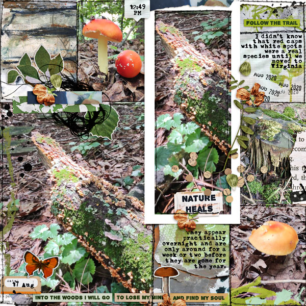 Fabulous Fungi Pg 2