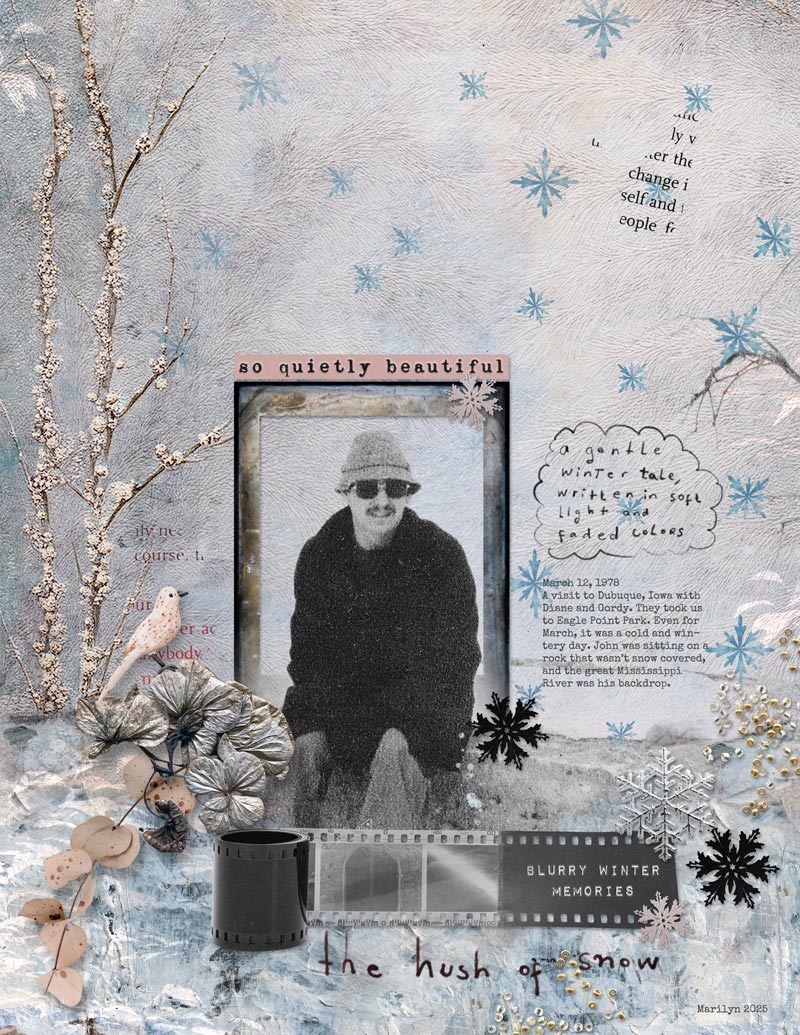 Faded-Polaroids II - Wintered