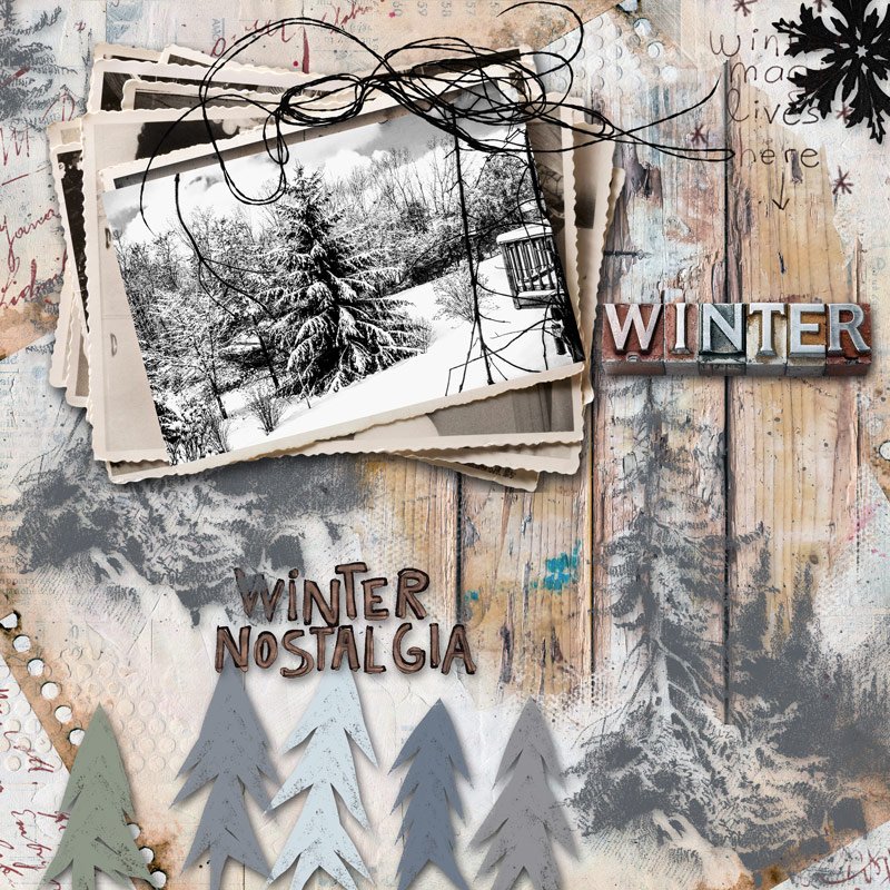 Faded Polaroids (Wintered)