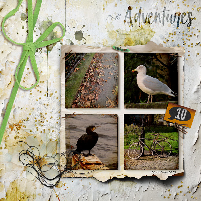 Fall Adventures