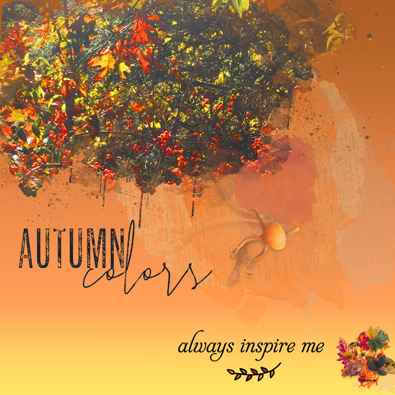Fall-colors-Inspiration