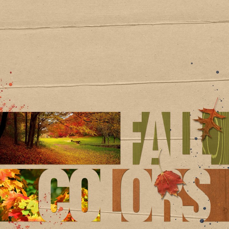 Fall Colors