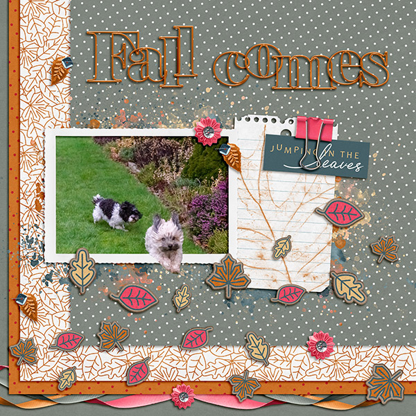 Fall Comes