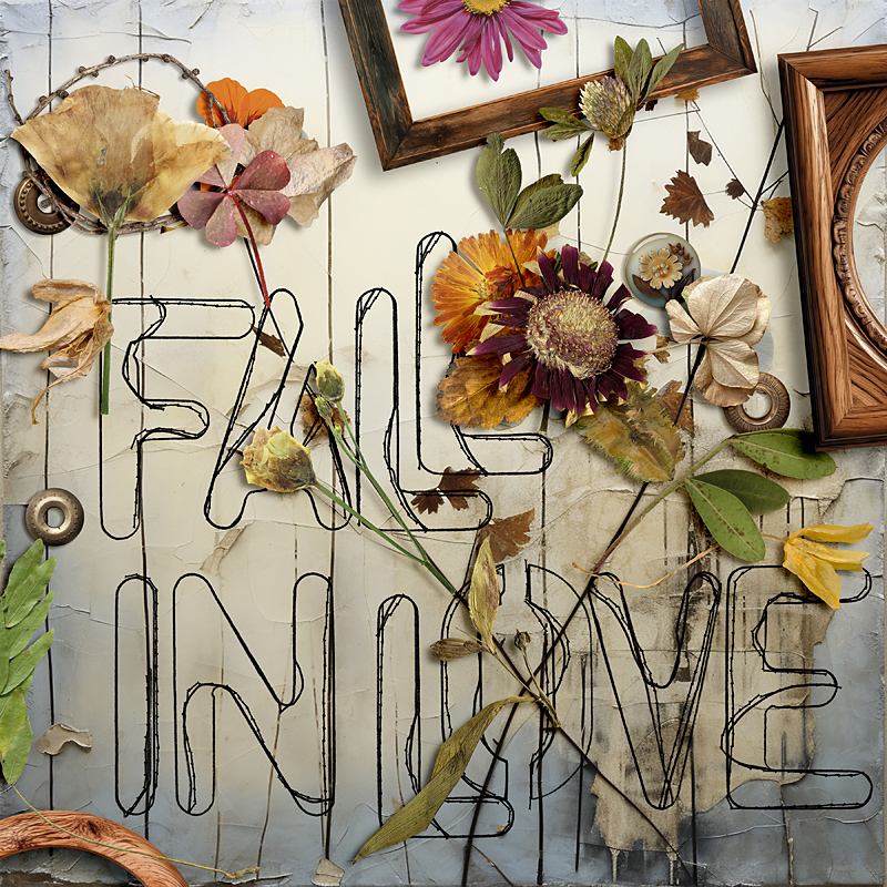 Fall in love