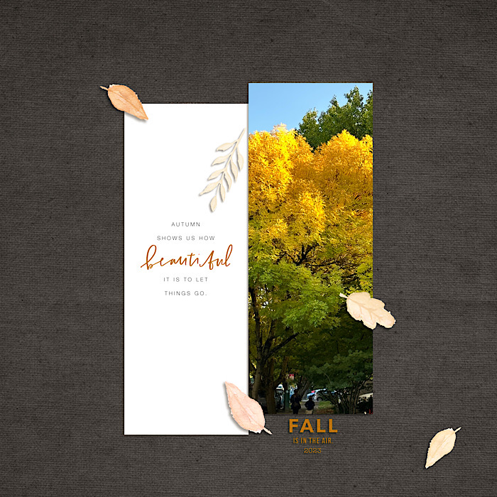 Fall is in the Air