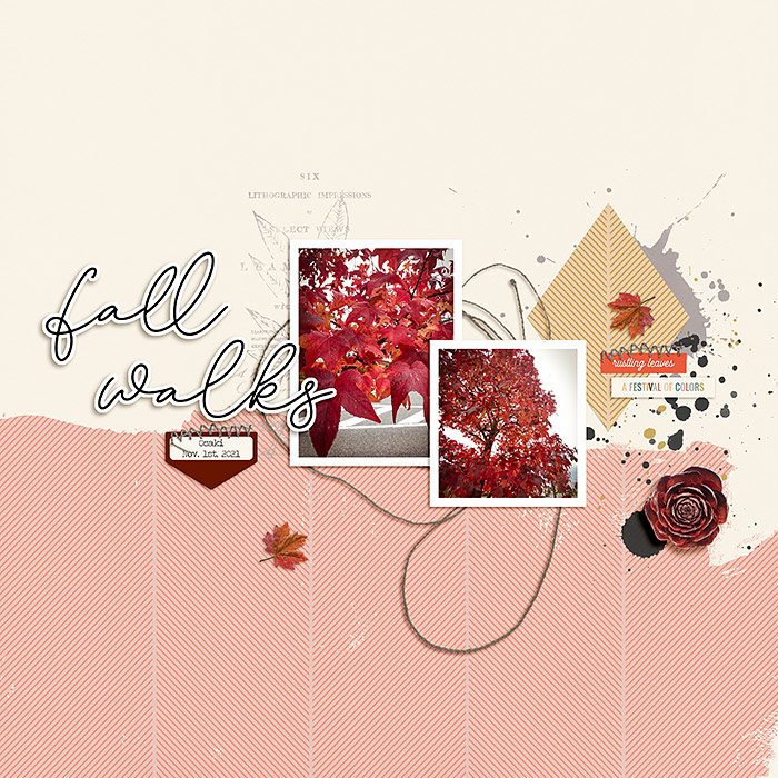 Fall leaves