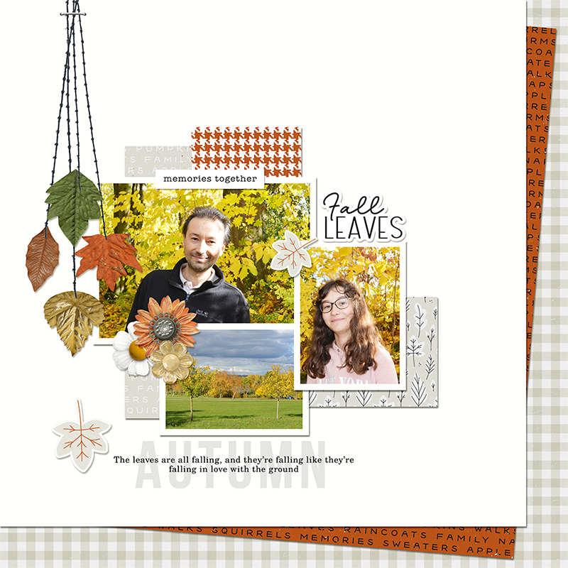 Fall leaves