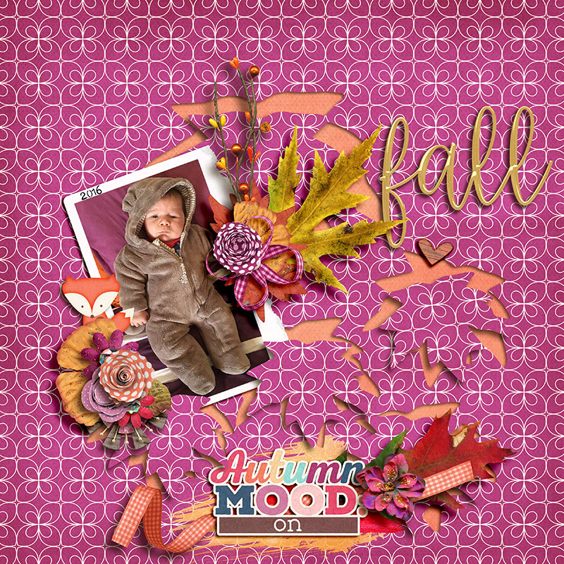 Fall #MOC19
