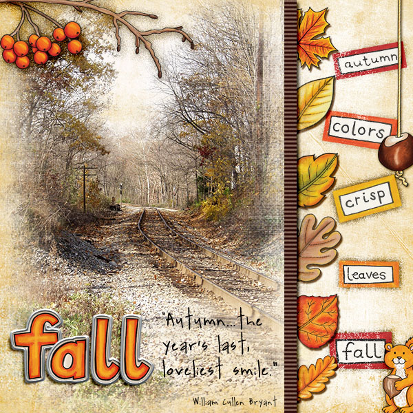 Fall Tree leaves