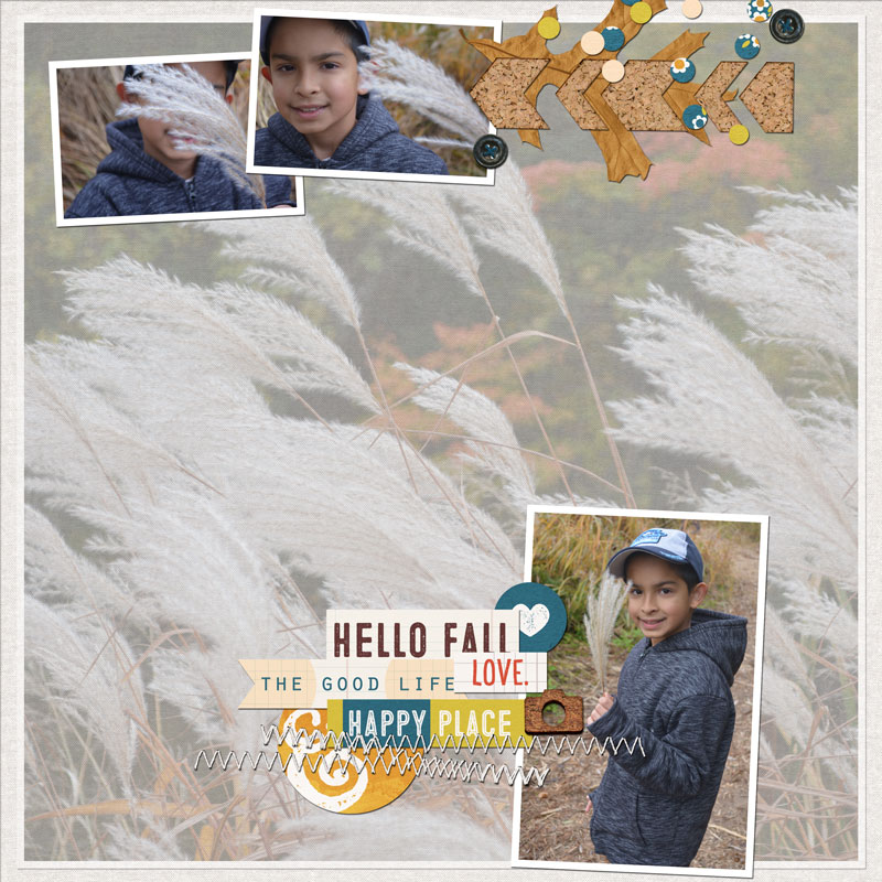 Fall