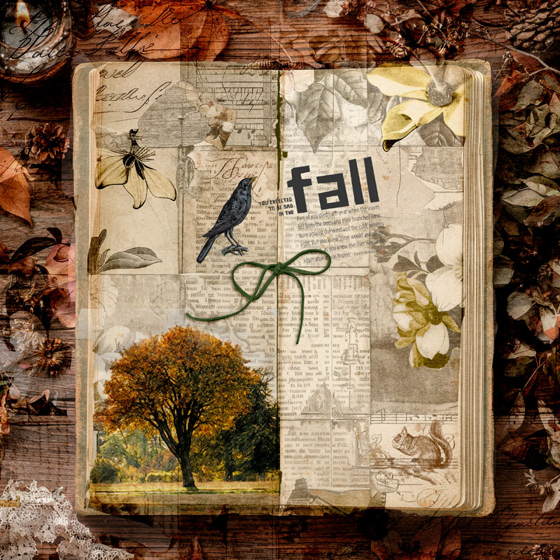 Fall