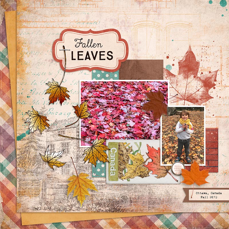 Fallen Leaves