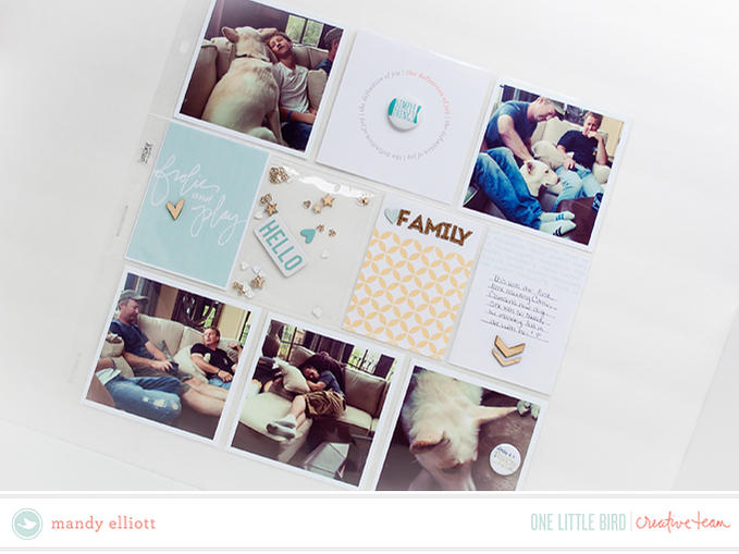 Family Layout_Frolic