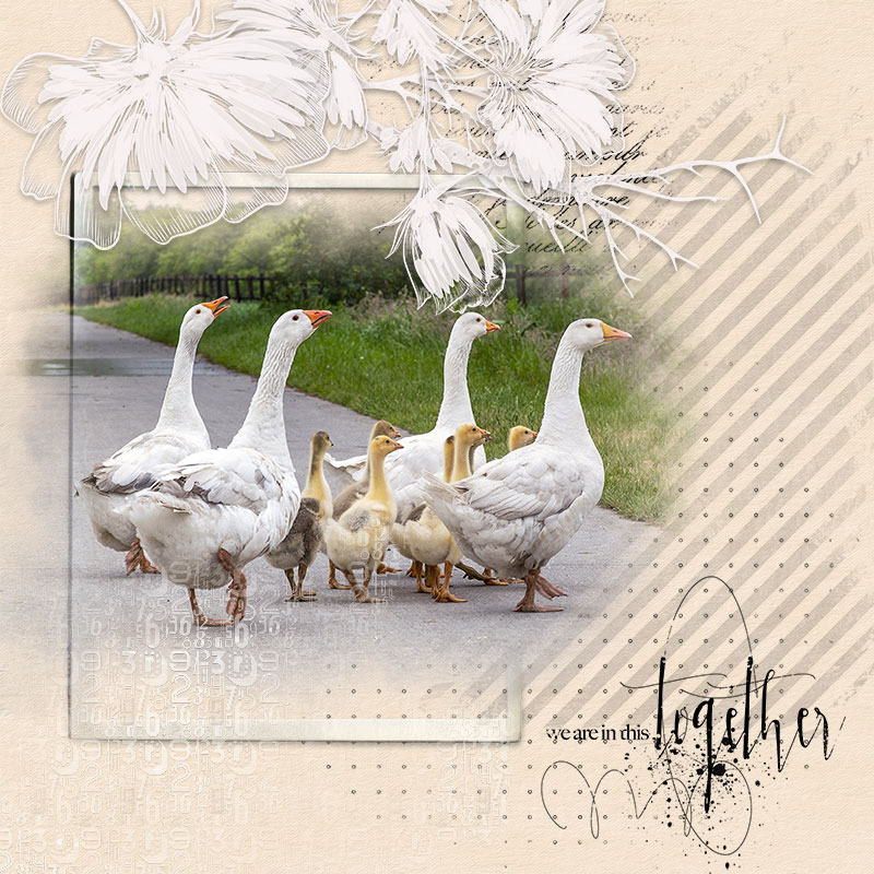 FamilyStory