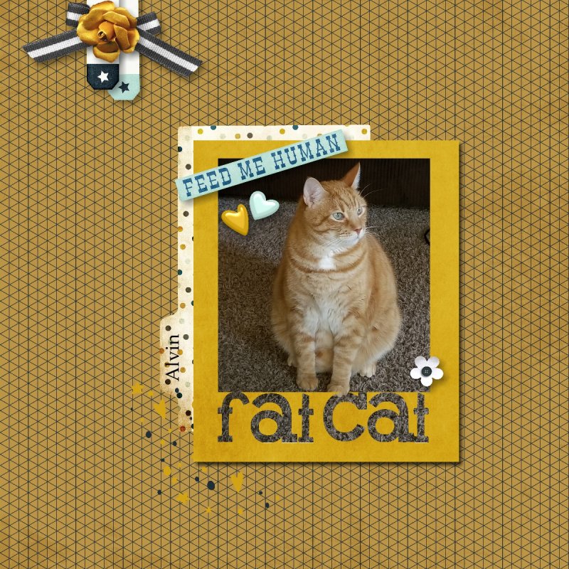 Fat Cat