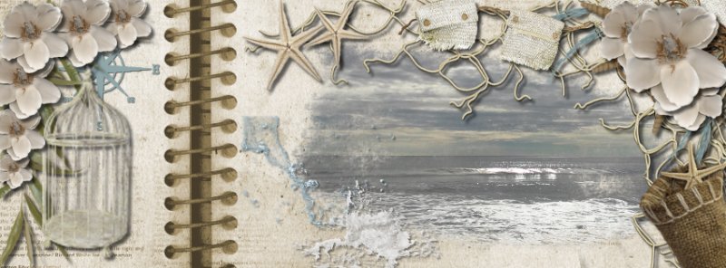 FB Header