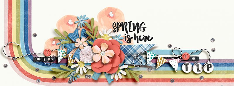 FBcover_3-29