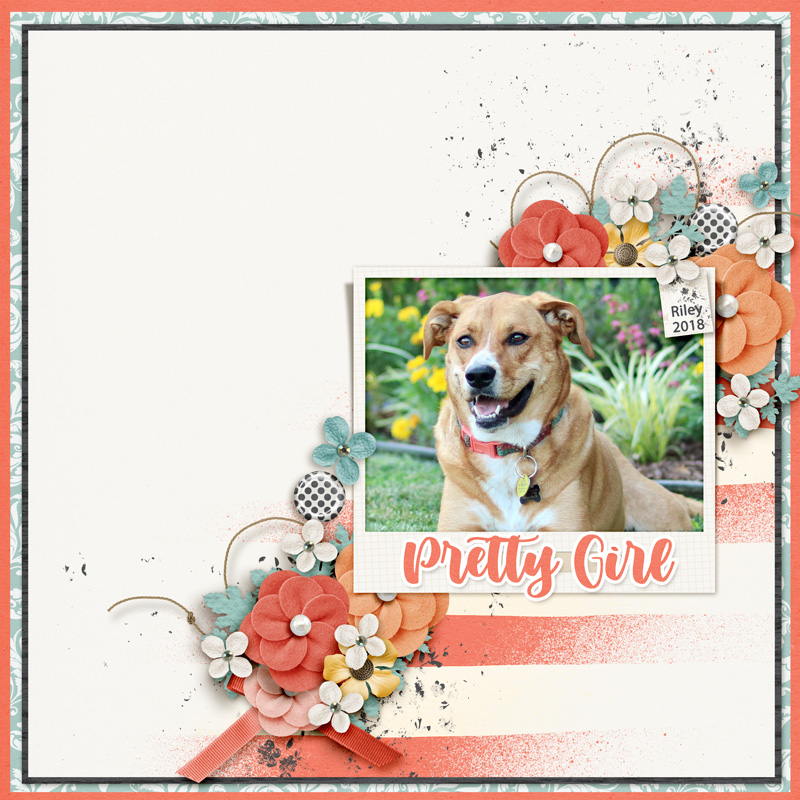 FDD_SunshineOnMyShouldersDU_2018web