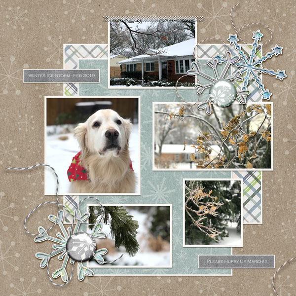 Feb 2019 Template Challenge