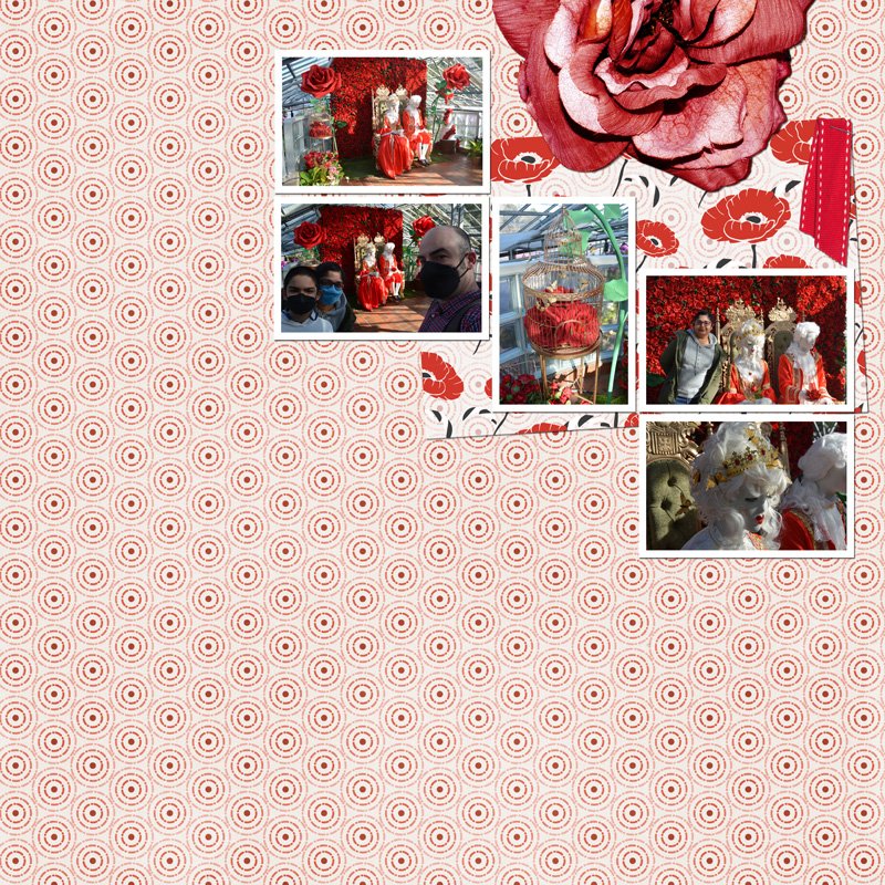 Feb-2026-TLP-Inspiration.jpg