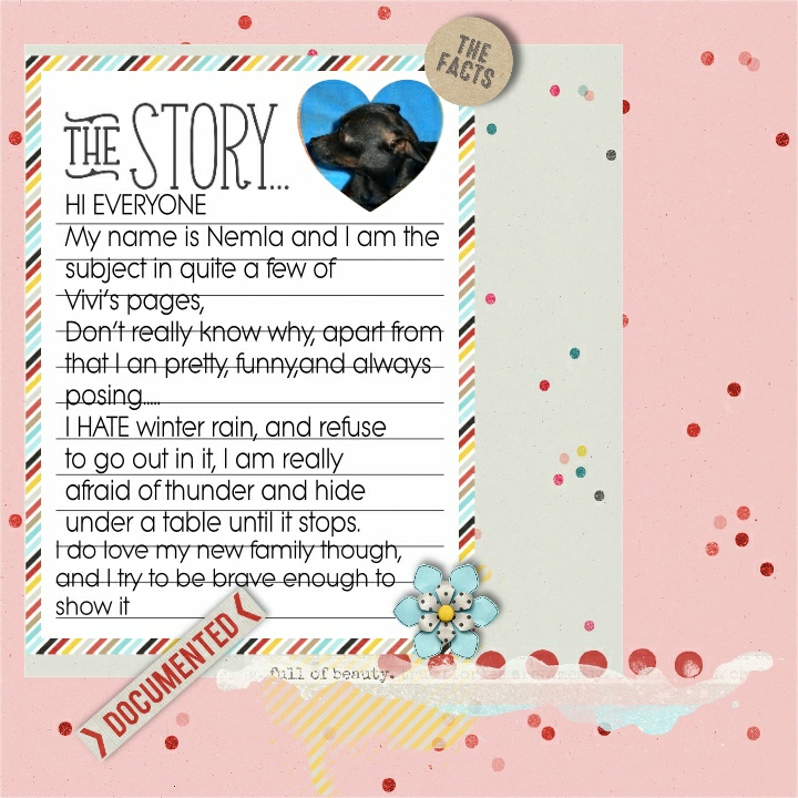 Feb Journaling