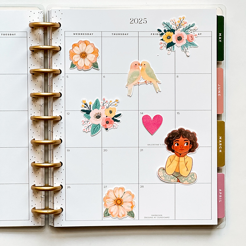 Feb right (hybrid)