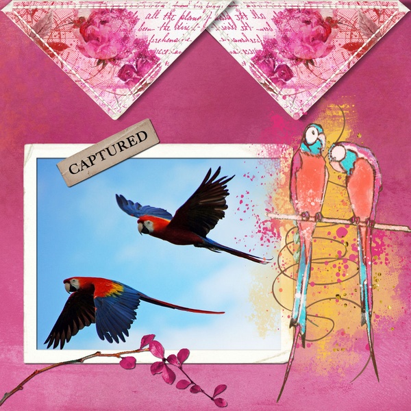 February 2019 Inspiration Challenge