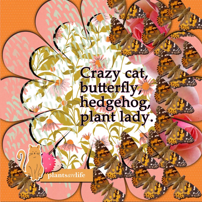 February Scraplift Challenge