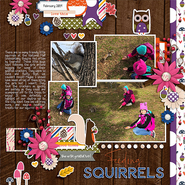 Feeding Squirrels