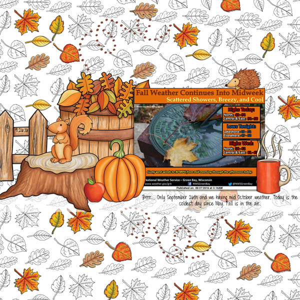 Feels like Fall