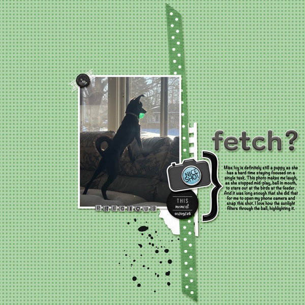 Fetch.jpg