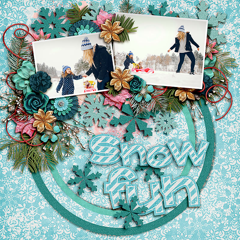 FF_dec8_BG_FDD_Snow Fun