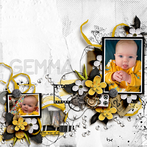 FF_jan14_RJ_FDD_Gemma
